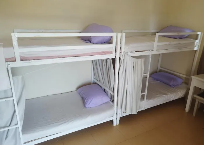Criss Hostel- Center